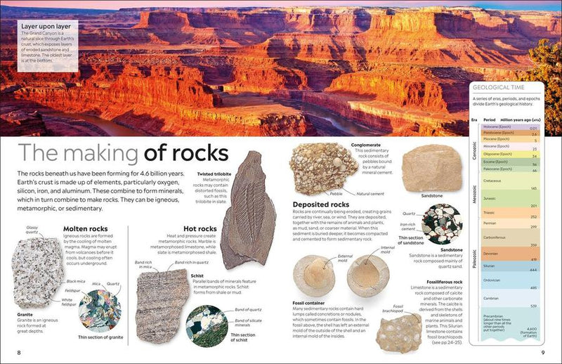 Eyewitness Fossil US - Hardback