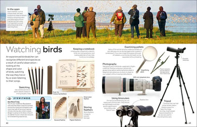 Eyewitness Bird US - Paperback / softback