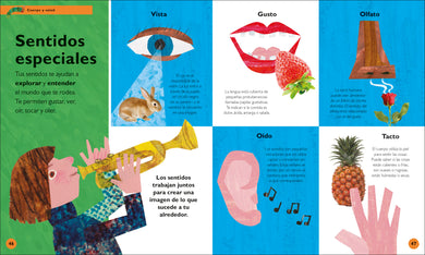 La oruga muy hambrienta (The Very Hungry Caterpillar's Very First Encyclopedia) interior 3 (ISBN 9780744092127)