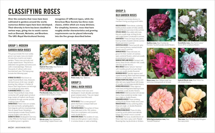 Grow Roses US - Paperback / softback