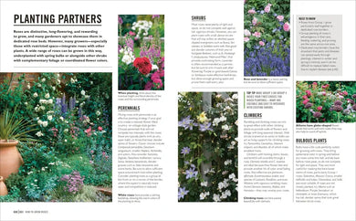 Grow Roses US - Paperback / softback