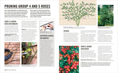 Grow Roses US - Paperback / softback