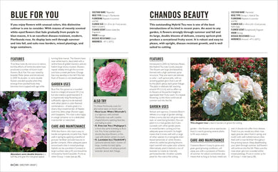 Grow Roses US - Paperback / softback