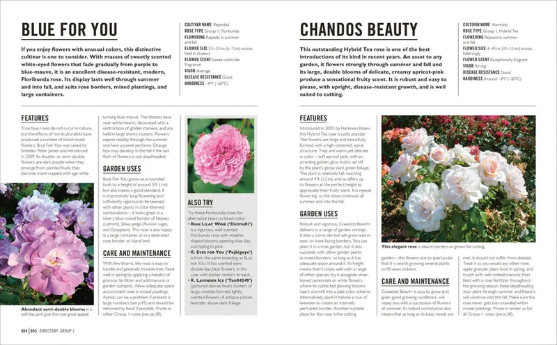 Grow Roses US - Paperback / softback