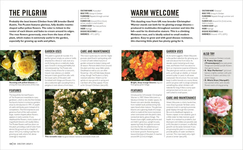 Grow Roses US - Paperback / softback