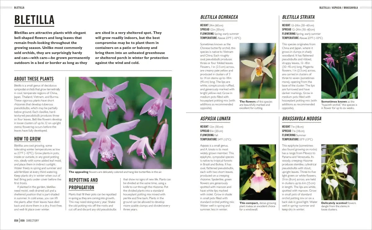 Grow Orchids US - Paperback / softback