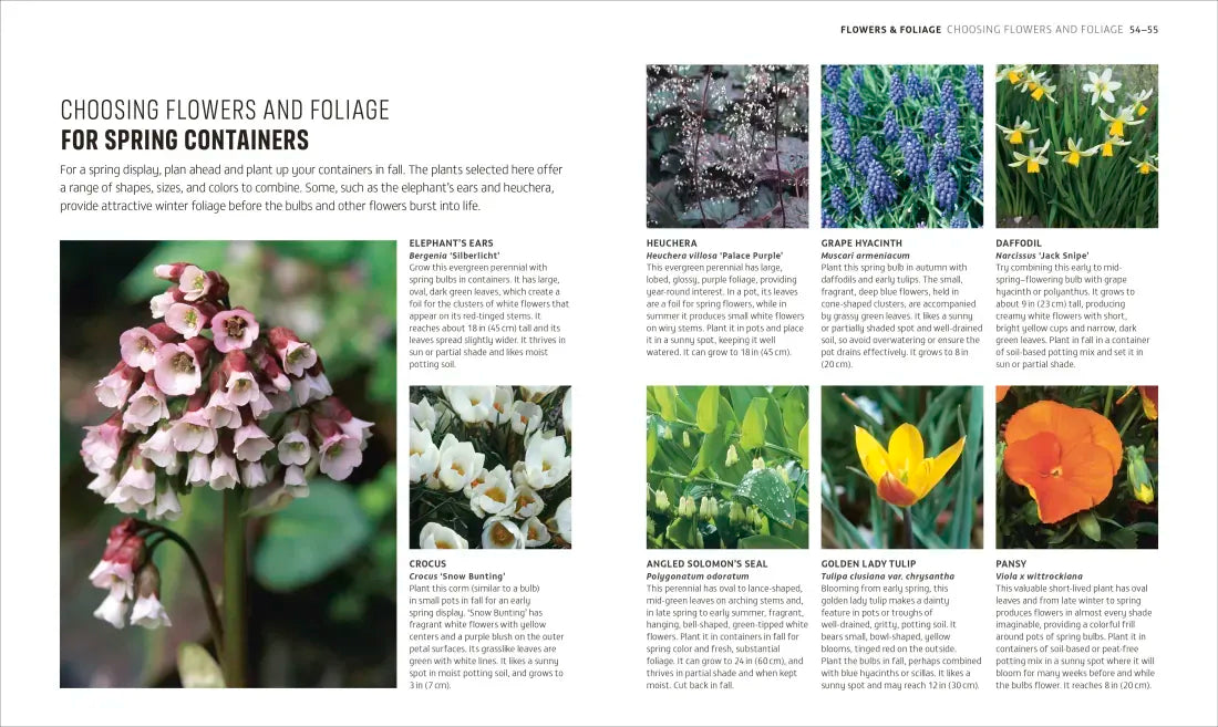 Beginner Gardening Step by Step US - Paperback / softback