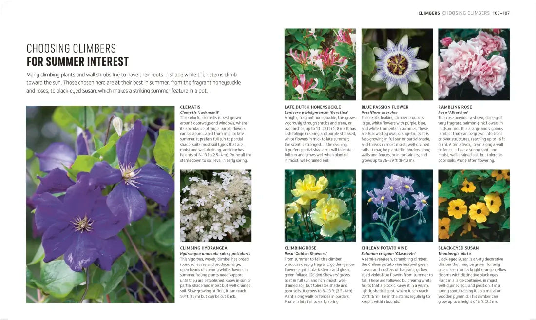 Beginner Gardening Step by Step US - Paperback / softback