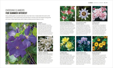 Beginner Gardening Step by Step US - Paperback / softback