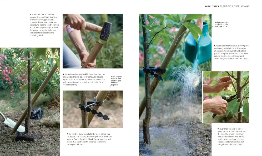 Beginner Gardening Step by Step US - Paperback / softback