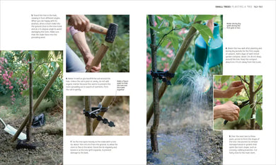 Beginner Gardening Step by Step US - Paperback / softback