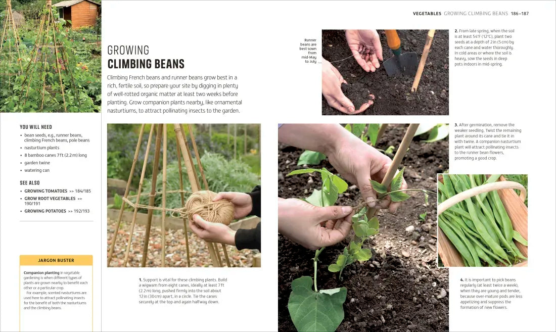 Beginner Gardening Step by Step US - Paperback / softback