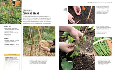 Beginner Gardening Step by Step US - Paperback / softback