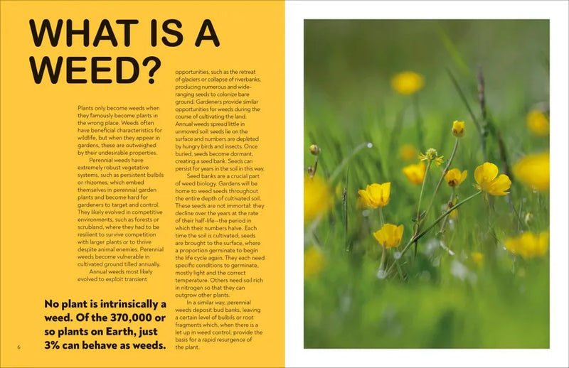 What's That Weed? US - Hardback