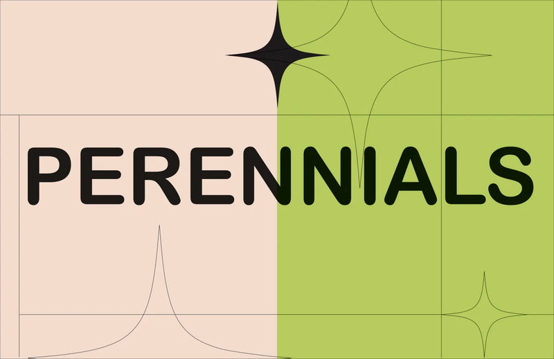 What's That Weed? US - Hardback