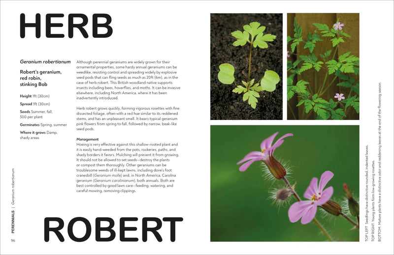 What's That Weed? US - Hardback