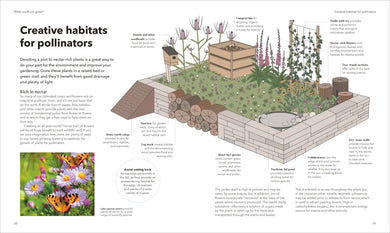 The Raised Bed Book US - Hardback
