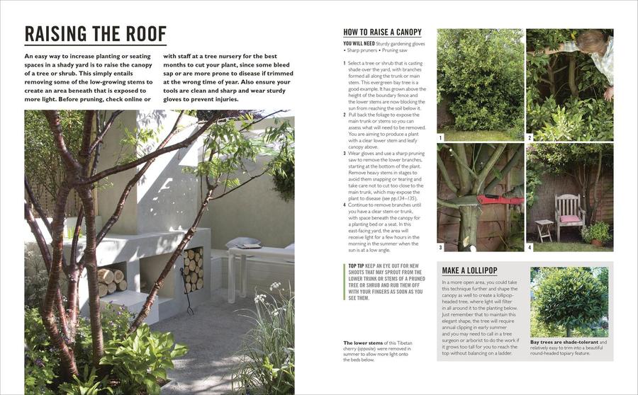 Grow Shade Garden US - Paperback / softback