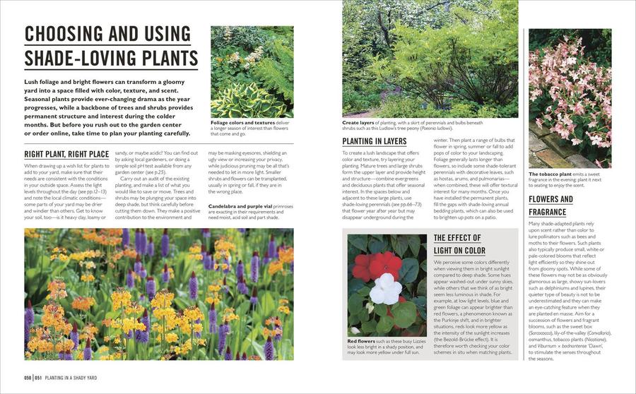 Grow Shade Garden US - Paperback / softback