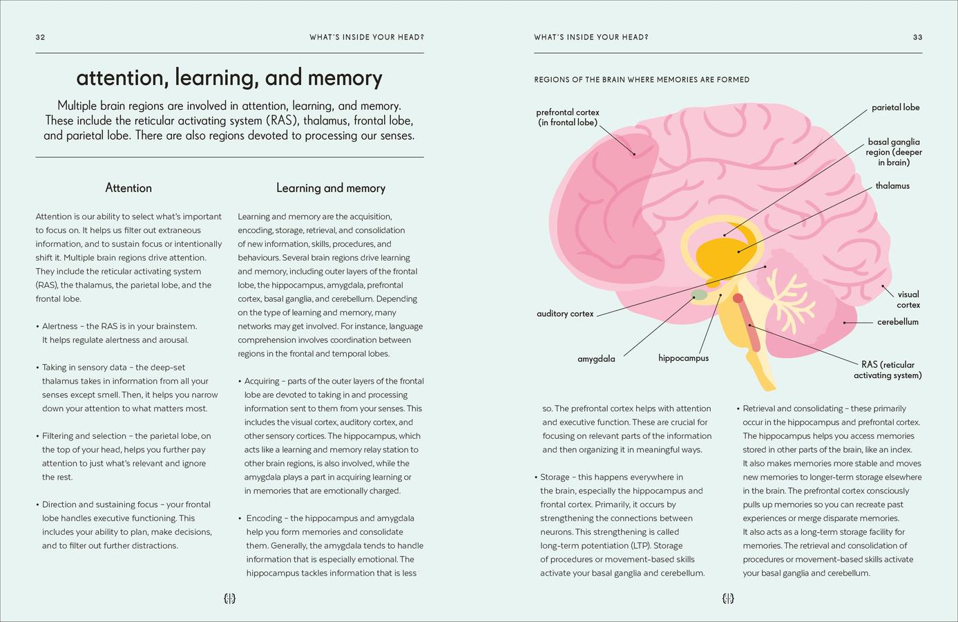 Brain US - Hardback