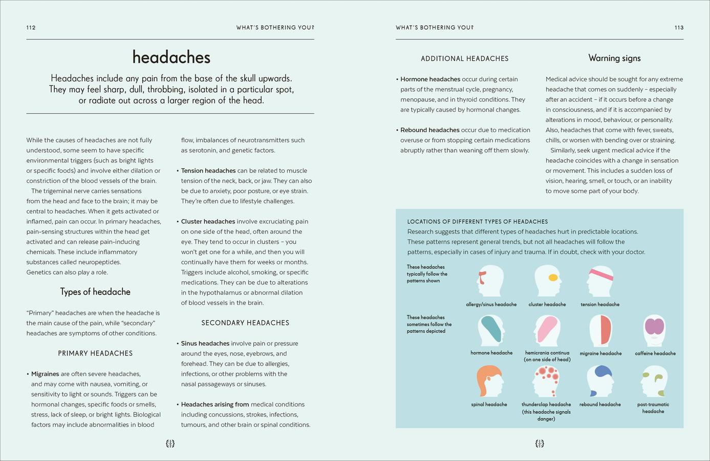 Brain US - Hardback