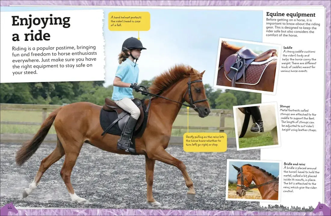My Book of Horses and Ponies US - Hardback