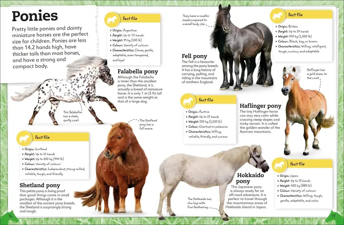 My Book of Horses and Ponies US - Hardback