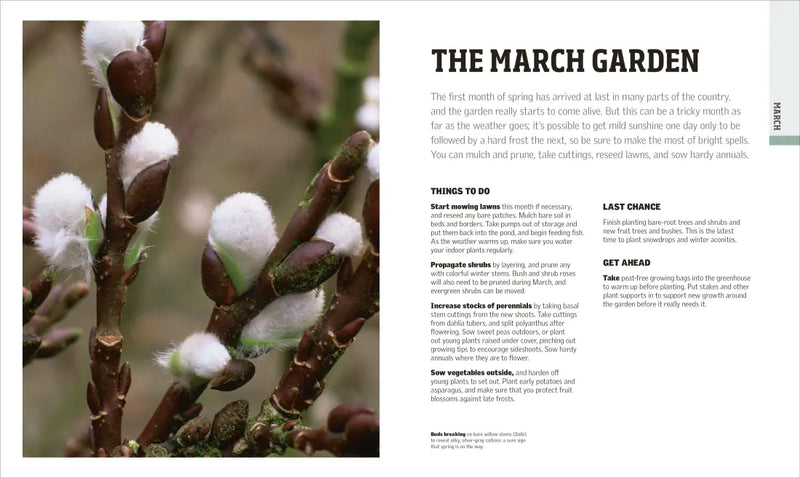 Gardening Through the Year US - Hardback