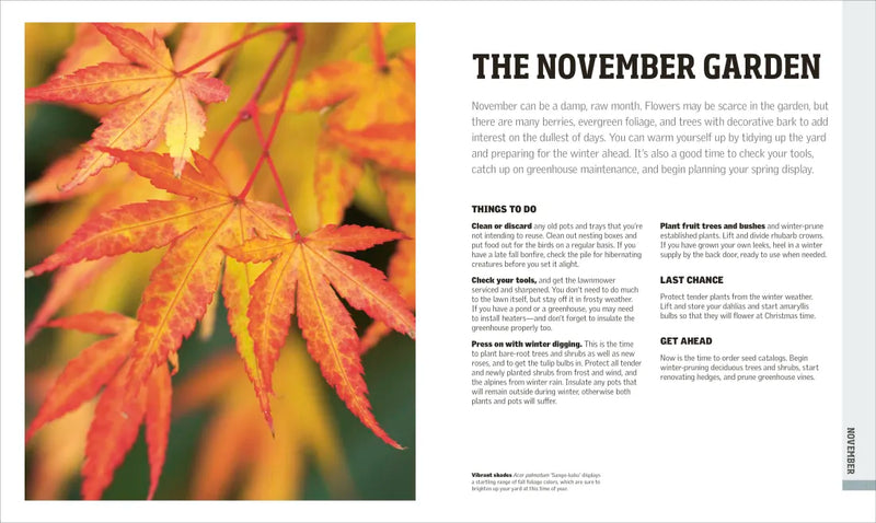 Gardening Through the Year US - Hardback