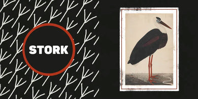 The Met Black and White US - Board book