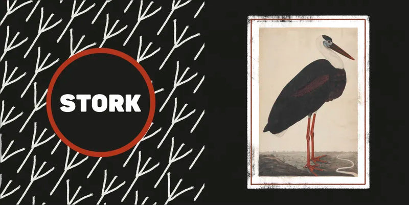 The Met Black and White US - Board book