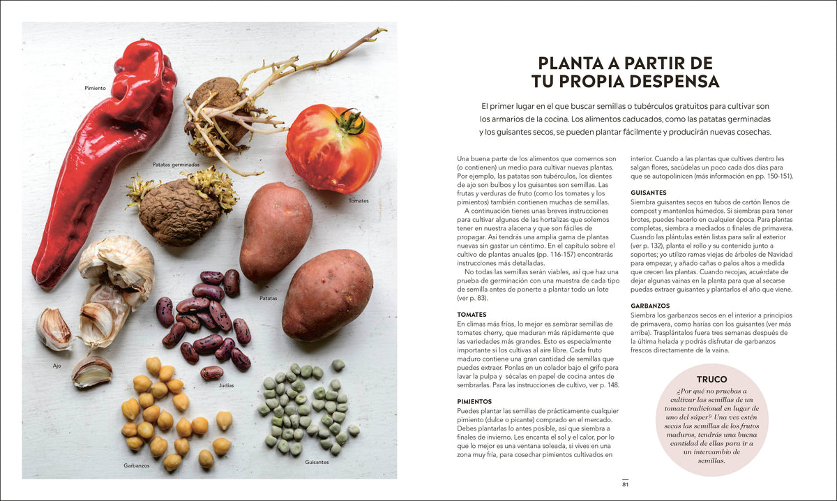 El huerto autosuficiente (Grow Food for Free) interior 3 (ISBN 9780744093841)