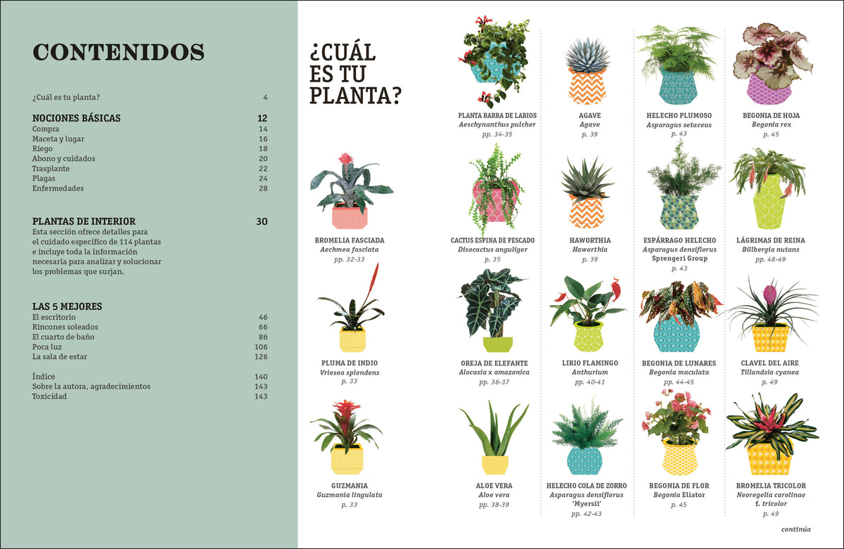 Cómo no matar tus plantas (How Not to Kill Your Houseplant) interior 1 (ISBN 9780744093865)