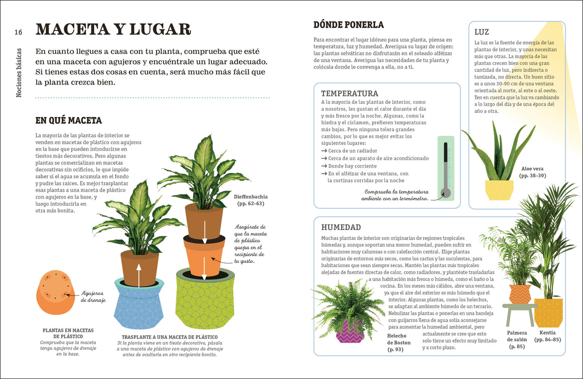 Cómo no matar tus plantas (How Not to Kill Your Houseplant) interior 2 (ISBN 9780744093865)