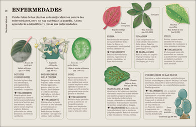 Cómo no matar tus plantas (How Not to Kill Your Houseplant) interior 3 (ISBN 9780744093865)