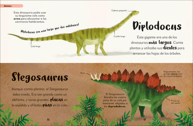 Mi primer libro de dinosaurios y otras criaturas prehistóricas (The Bedtime Book of Dinosaurs and Other Prehistoric Life) interior 2 (ISBN 9780744094008)