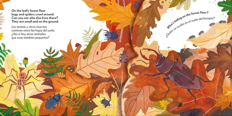 Bilingual Pop-Up Peekaboo! Forest - El bosque US - Board book