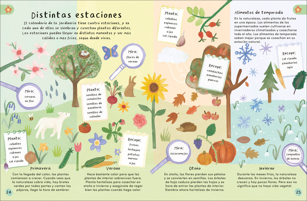 Mi primer jardín (My First Garden) interior 1 (ISBN 9780744094060)