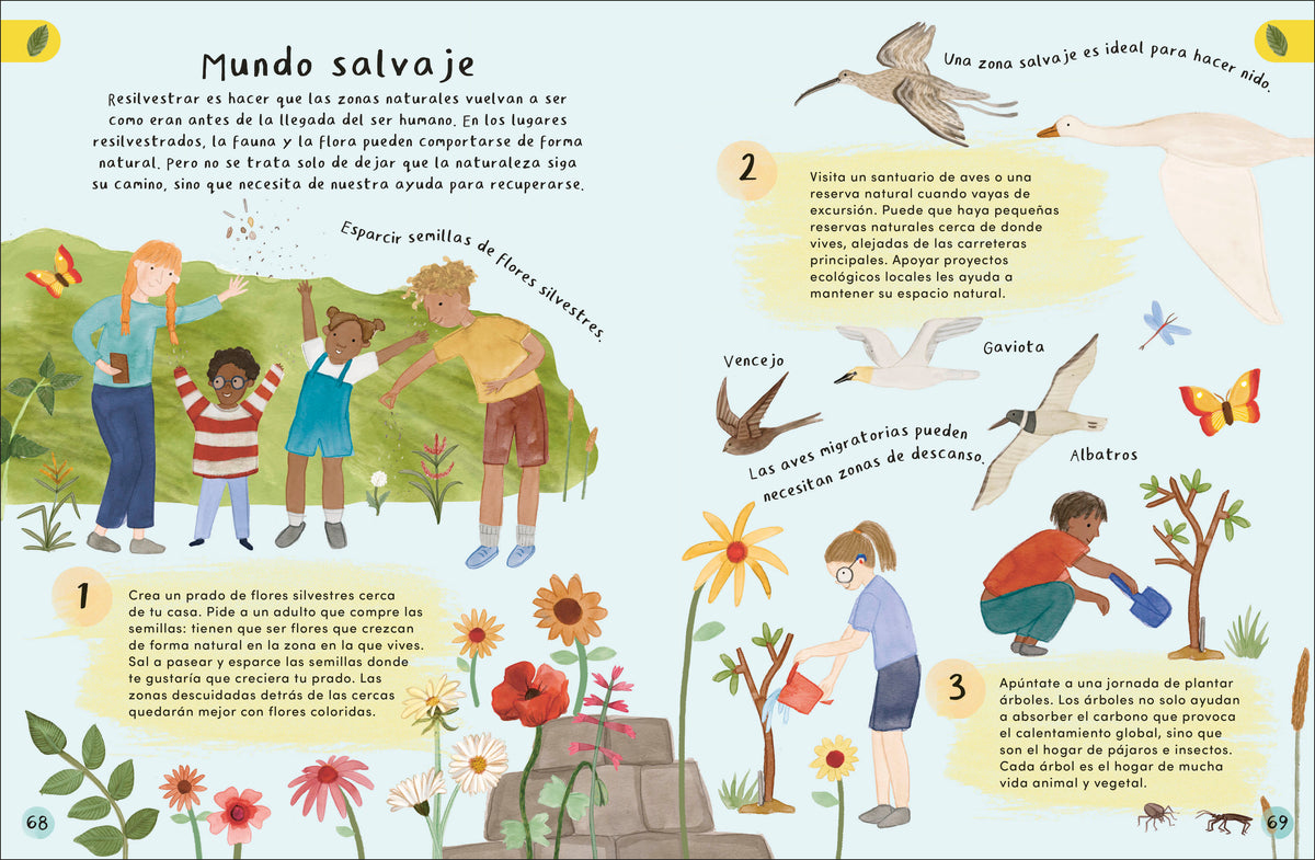 Mi primer jardín (My First Garden) interior 2 (ISBN 9780744094060)