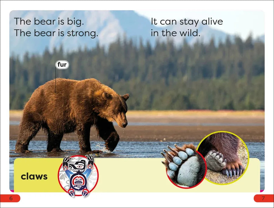DK Super Readers Pre-Level A Bear's Tale US - Hardback