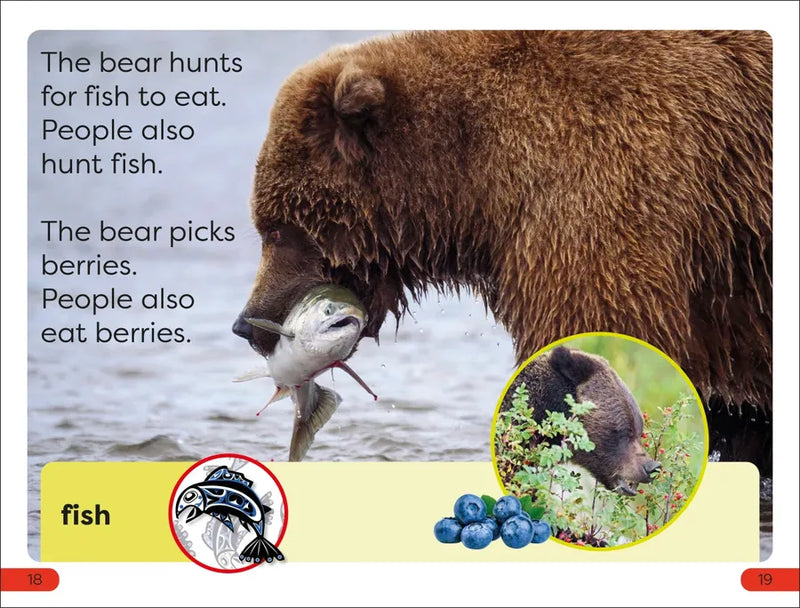 DK Super Readers Pre-Level A Bear's Tale US - Hardback