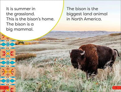 DK Super Readers Pre-Level A Bison's Tale US - Hardback