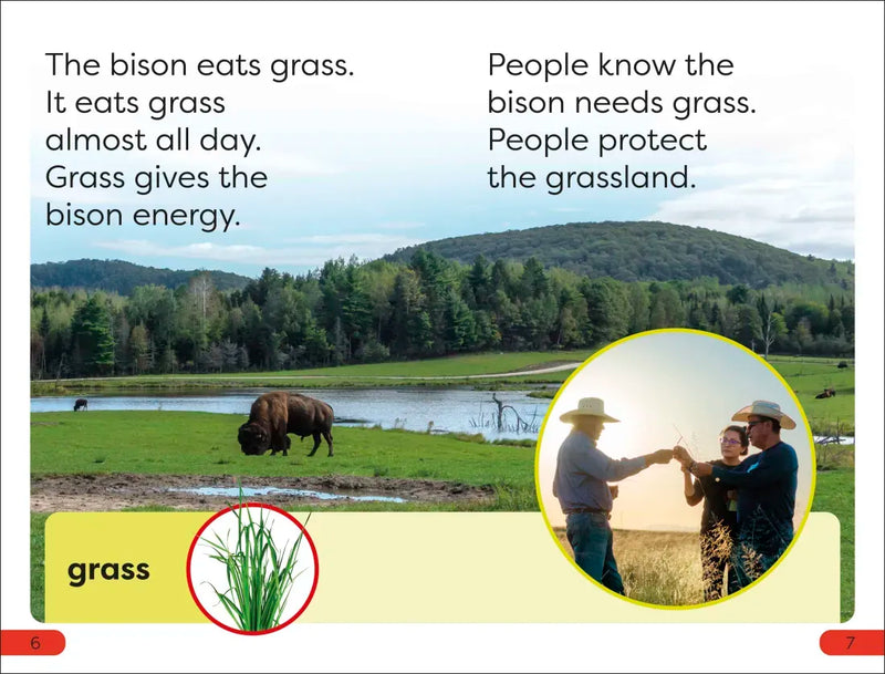 DK Super Readers Pre-Level A Bison's Tale US - Hardback