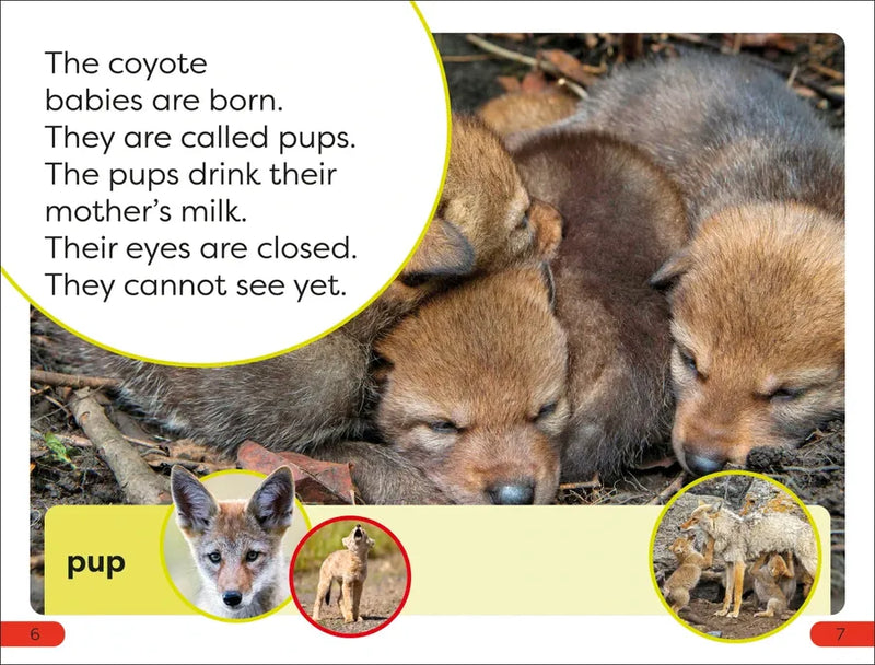 DK Super Readers Pre-Level A Coyote's Tale US - Hardback