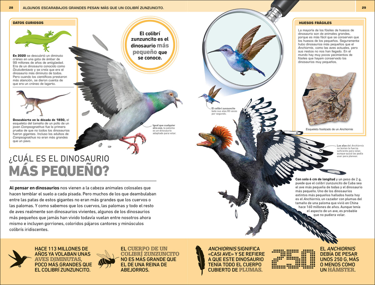 Dinosaurios: 1000 curiosidades increíble (1,000 Amazing Dinosaurs Facts) interior 4 (ISBN 9780744094749)