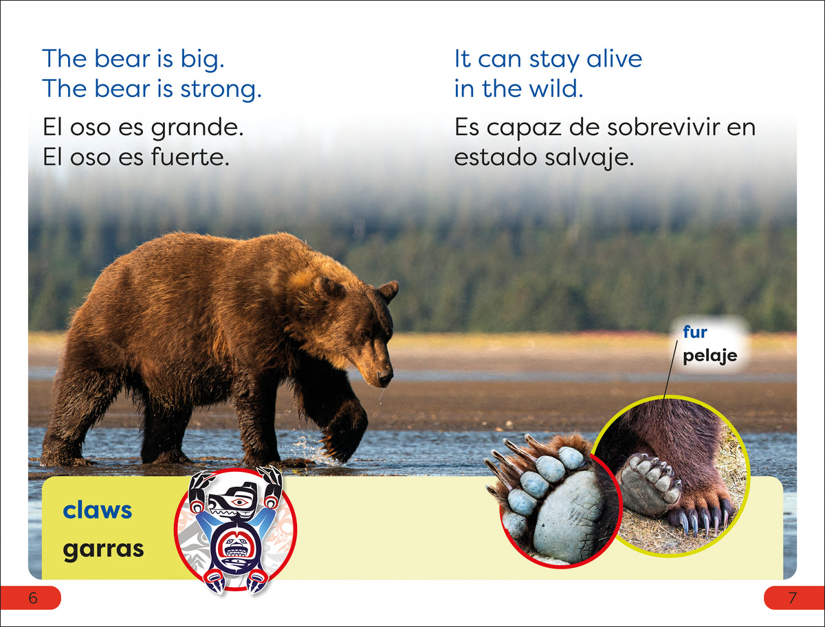 DK Super Readers Pre-level English-Spanish Bilingual A Bear's Tale - Relato de un oso interior 1 (ISBN 9780744094909)