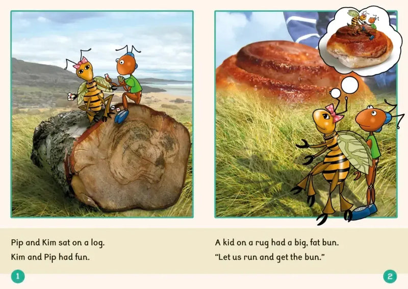 Phonic Books Dandelion Readers Set 1 Units 1-10 Sam (Alphabet Code Blending 4 and 5 Sound Words) US - Multiple-component retail product, boxed