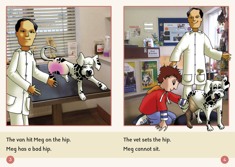 Phonic Books Dandelion Readers Set 2 Units 1-10 Sam and Tim (Alphabet Code Blending 4 and 5 Sound Words) US - Multiple-component retail product, boxed