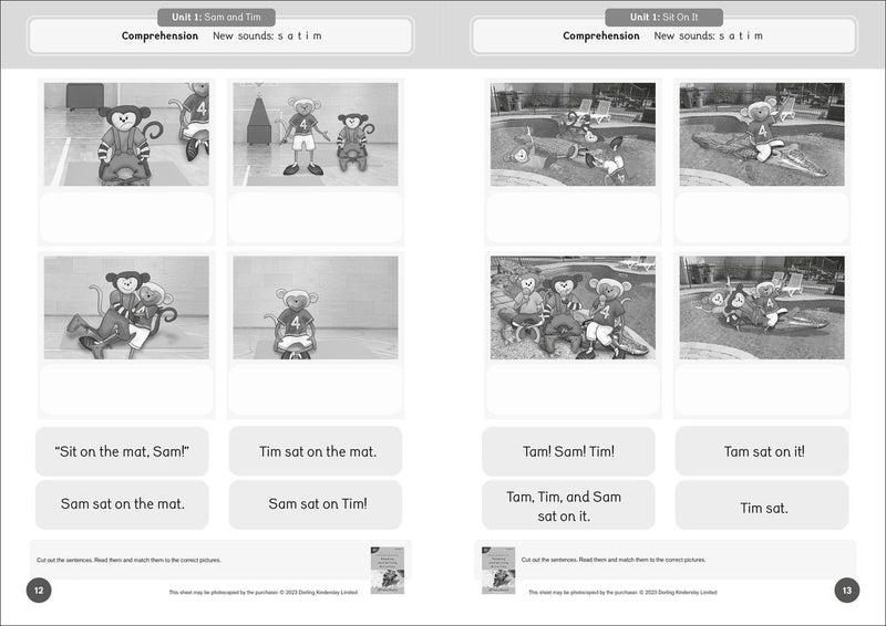 Phonic Books Dandelion Readers Reading and Writing Activities Set 2 Units 1-10 and Set 3 Units 1-10 (Alphabet code, blending 4 and 5 sound words) US - Paperback / softback