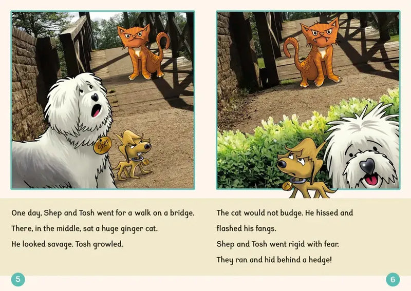 Phonic Books Dandelion Readers Further Spellings and Suffixes Level 4 US - Multiple-component retail product, boxed